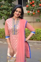 Vimala Raman at Om Namo Venkatesaya Press Meet